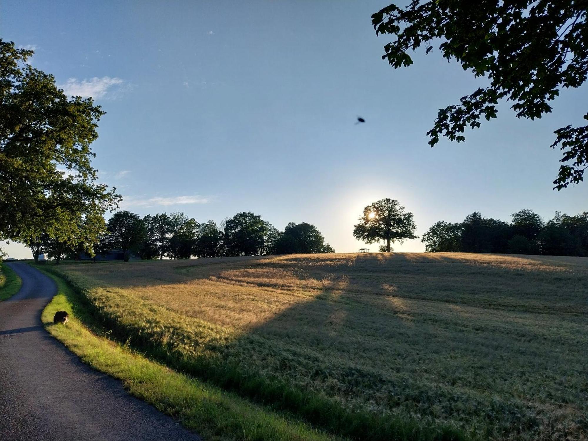 Landhotel Waldschloesschen Mit Gaststube Sohland an der Spree Exterior foto